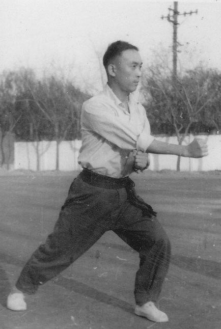 河南有什么拳,河南最凶狠拳种