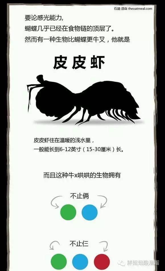 怎样嫁给张继科,怎样才能和张继科谈恋爱