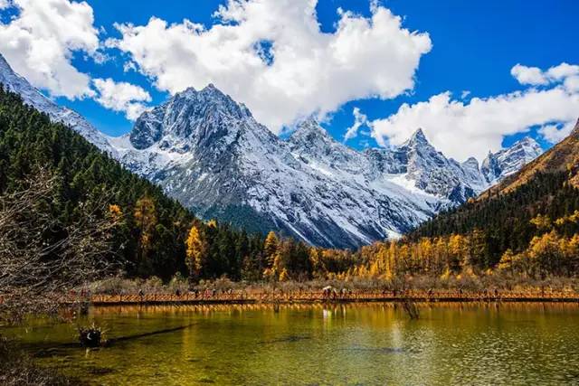 不需要知道你离世的理由，只愿你在天堂能重展笑容！