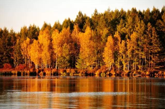 不需要知道你离世的理由，只愿你在天堂能重展笑容！