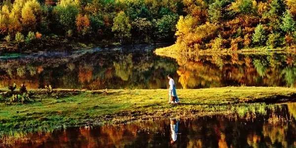 不需要知道你离世的理由，只愿你在天堂能重展笑容！