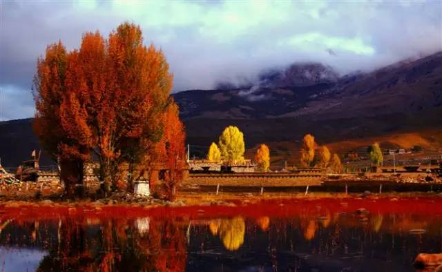 不需要知道你离世的理由，只愿你在天堂能重展笑容！