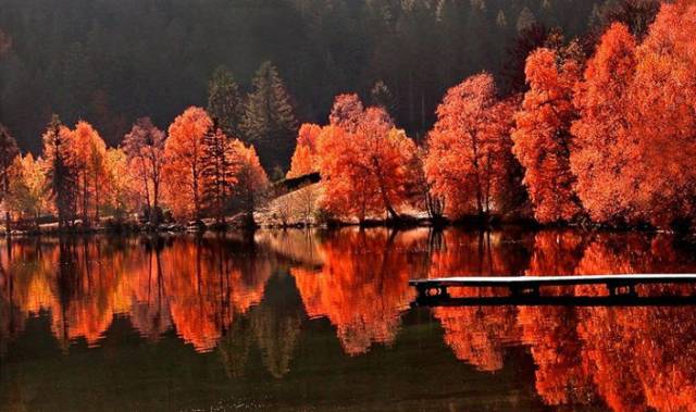 不需要知道你离世的理由，只愿你在天堂能重展笑容！