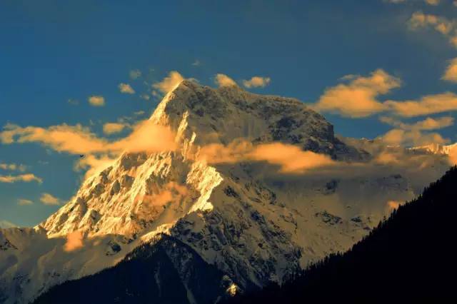 不需要知道你离世的理由，只愿你在天堂能重展笑容！