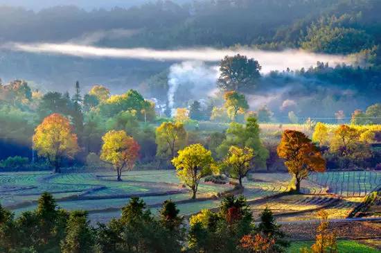 不需要知道你离世的理由，只愿你在天堂能重展笑容！