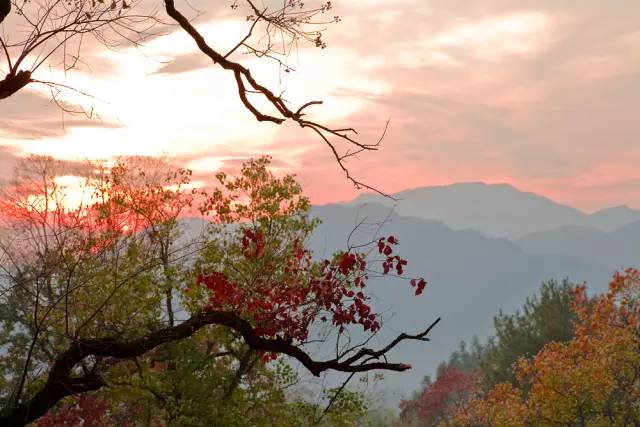 不需要知道你离世的理由，只愿你在天堂能重展笑容！
