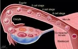 技术改变社会,技术改变人类社会