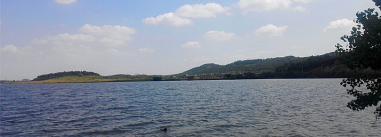 桐湖湿地钓鱼,桐湖钓鱼