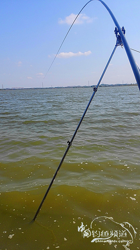 桐湖湿地钓鱼,桐湖钓鱼