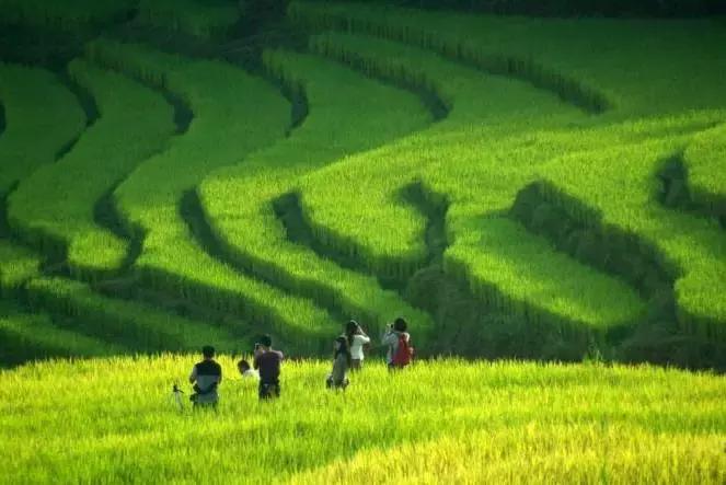 国庆佛山哪里好玩的景点适合小孩,佛山周边国庆旅游推荐好去处