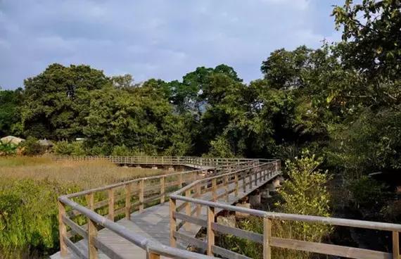 国庆佛山哪里好玩的景点适合小孩,佛山周边国庆旅游推荐好去处