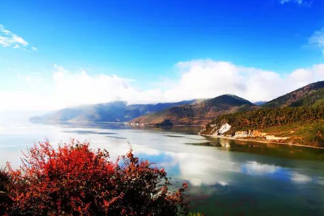 不需要知道你离世的理由，只愿你在天堂能重展笑容！