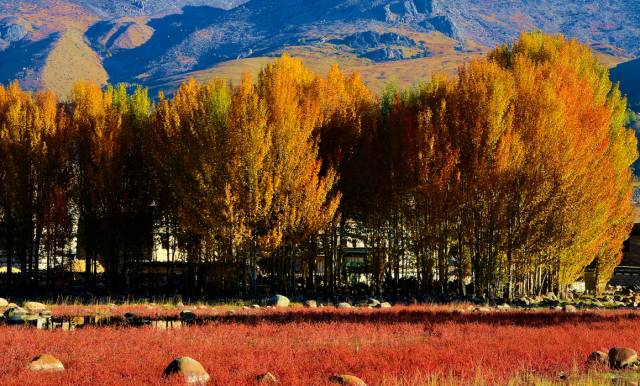 不需要知道你离世的理由，只愿你在天堂能重展笑容！