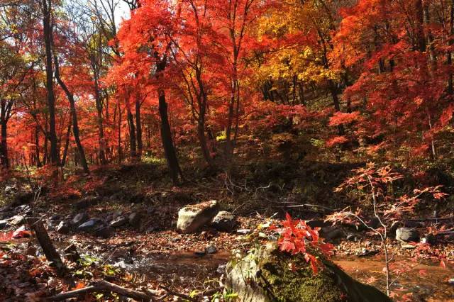 不需要知道你离世的理由，只愿你在天堂能重展笑容！