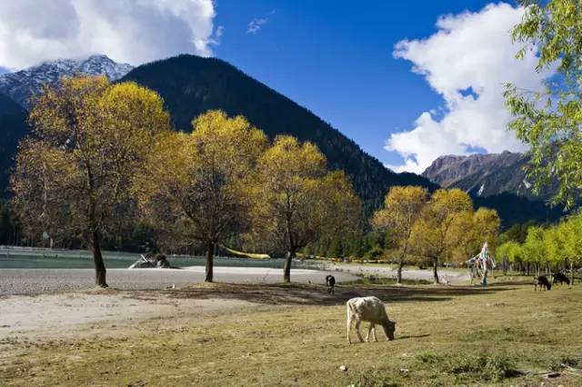 不需要知道你离世的理由，只愿你在天堂能重展笑容！