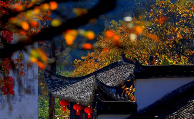 不需要知道你离世的理由，只愿你在天堂能重展笑容！