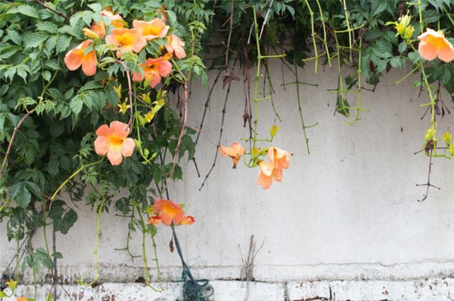 你从未到达的地方才叫远方,你未到达的地方早已车水马龙