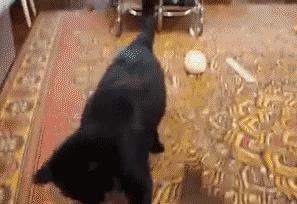 哎呀亲家母，不要不要我不要红包，别给我，你看你非要给我干嘛