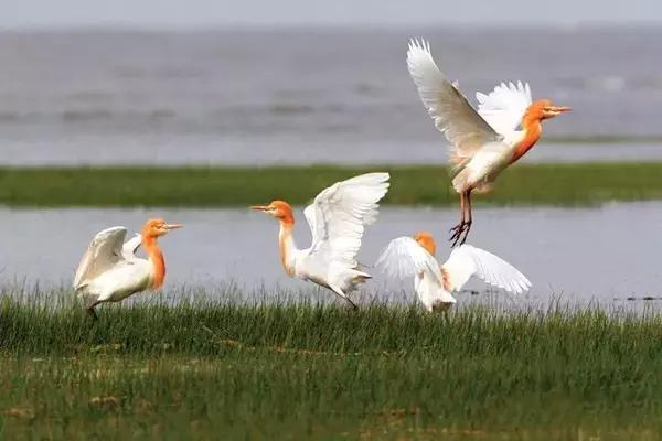 魔都平均收入排名,魔都月收入多少