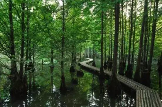 南京豪宅夷为平地,南京豪宅别墅有哪些