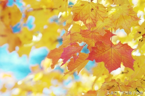 老公屏蔽了我的朋友圈,老公屏蔽我们的朋友圈