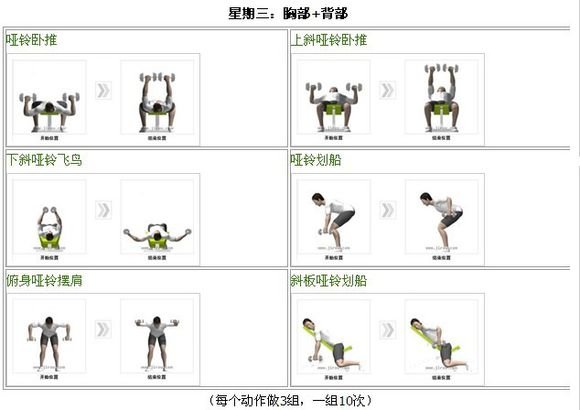 哑铃凳和哑铃健身计划,哑铃居家健身一周计划