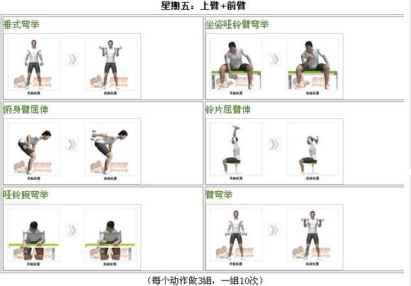 哑铃凳和哑铃健身计划,哑铃居家健身一周计划