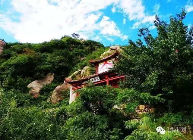 石家庄8个区谁最牛?万万没想到,最富区和最穷区居然相差10倍