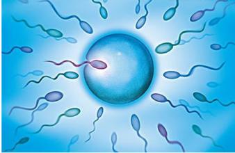 无精症不能人工授精吗,梗阻性无精症只能试管吗