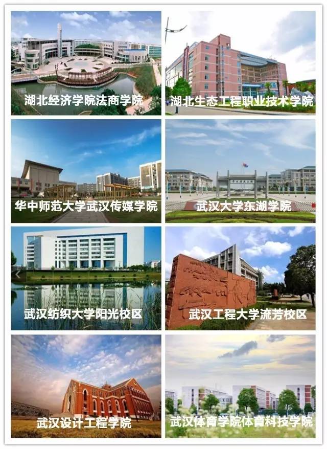 武汉江夏新区中心城区,武汉江夏新城区