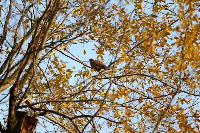 初秋武商院，真的在“给点颜色我看看!