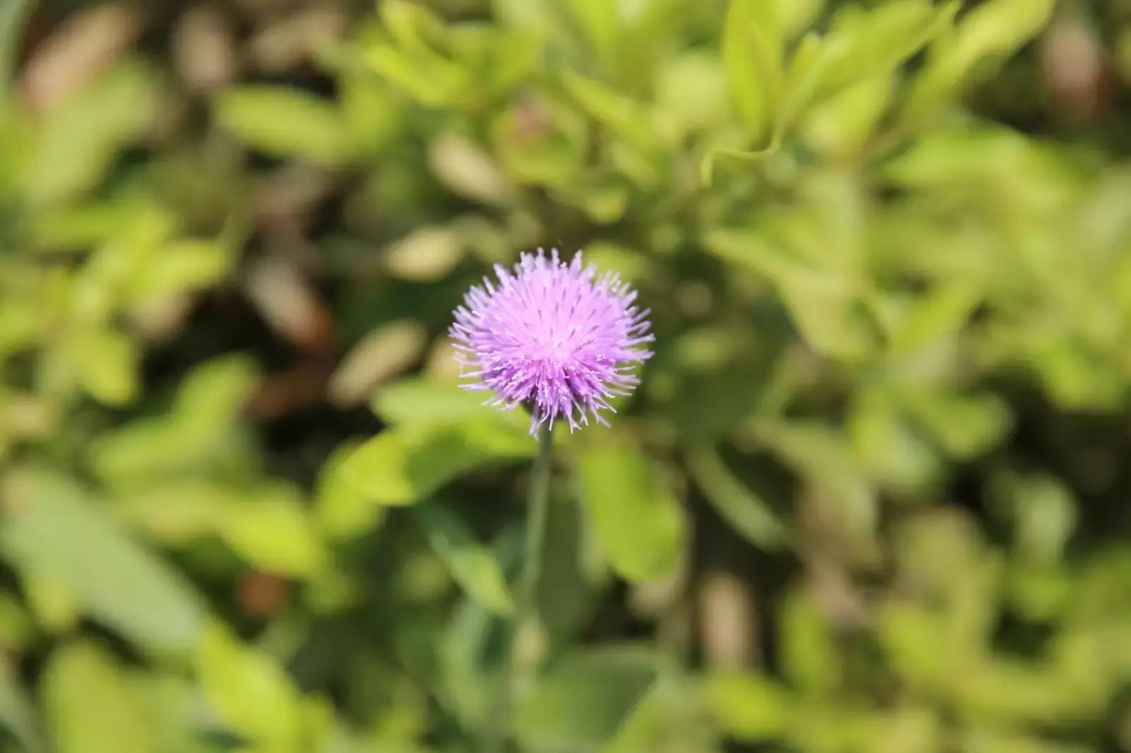 初秋武商院，真的在“给点颜色我看看!