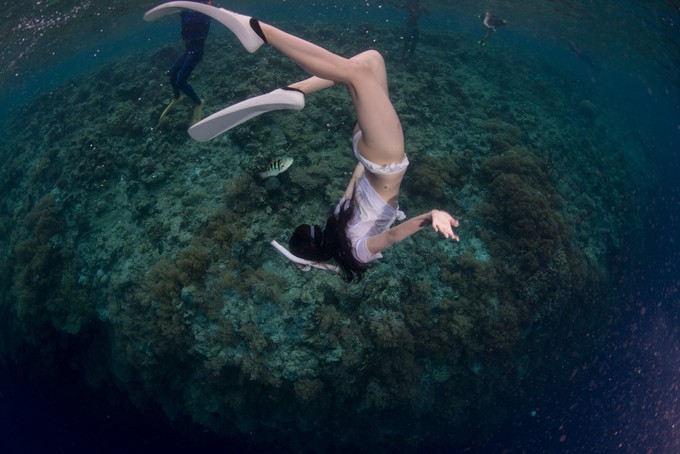 帕劳的生活真实感受,三次帕劳有什么感觉