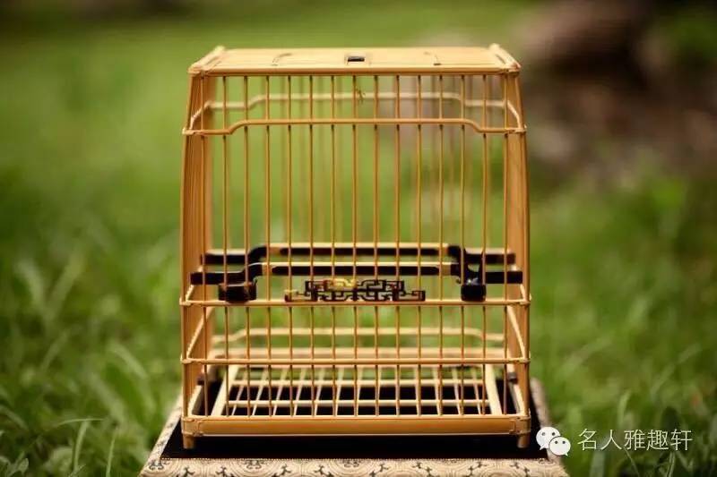 收藏东西一定要收集全吗,收藏一定要以藏养藏