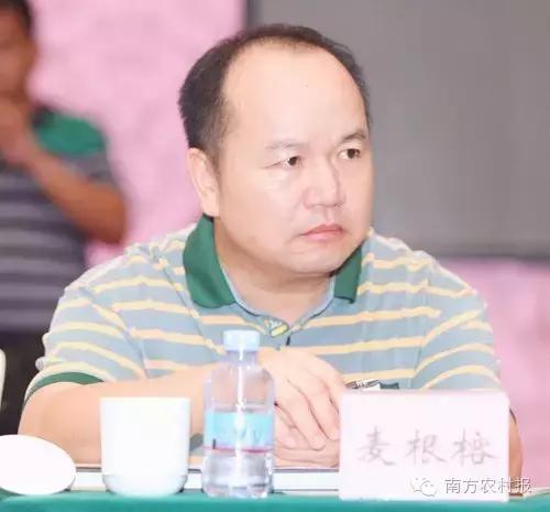 广东县域电商,广东省电商发展好的地方