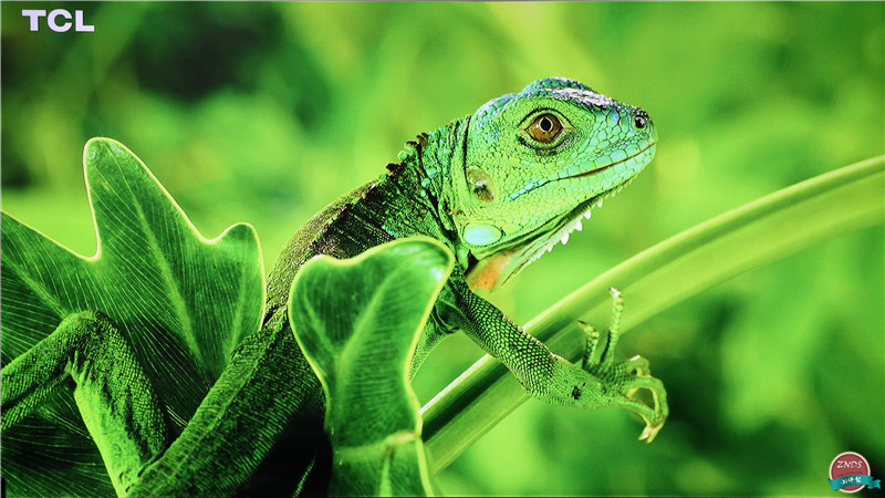 高颜值,大内存!全能影音小霸王—开博尔芒果月光宝盒X5评测
