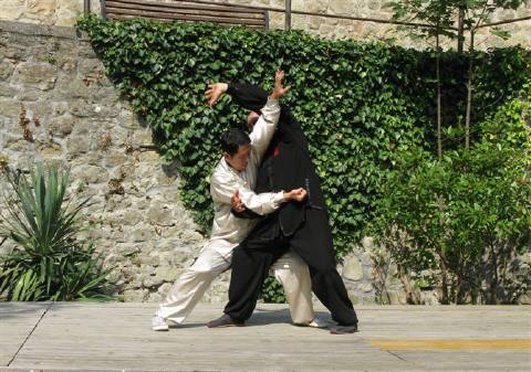 河南有什么拳,河南最凶狠拳种