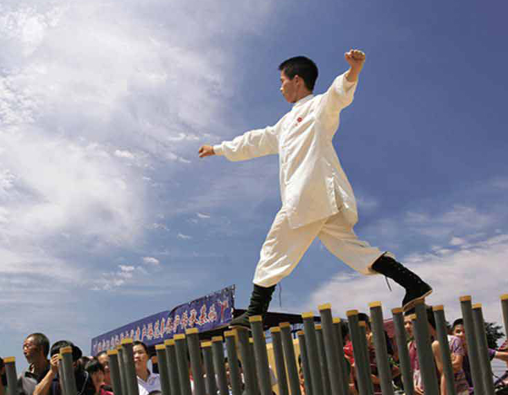 河南有什么拳,河南最凶狠拳种