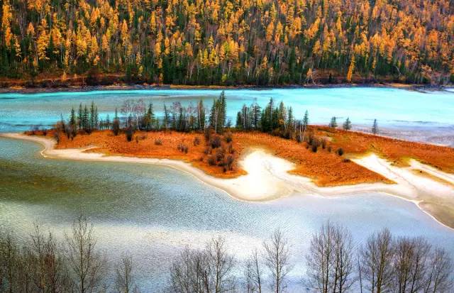 不需要知道你离世的理由，只愿你在天堂能重展笑容！