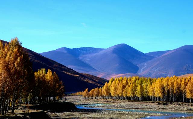 不需要知道你离世的理由，只愿你在天堂能重展笑容！