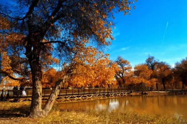 不需要知道你离世的理由，只愿你在天堂能重展笑容！