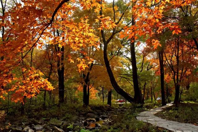 不需要知道你离世的理由，只愿你在天堂能重展笑容！