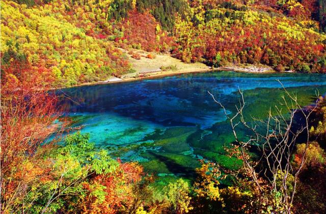 不需要知道你离世的理由，只愿你在天堂能重展笑容！