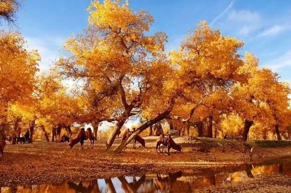 不需要知道你离世的理由，只愿你在天堂能重展笑容！