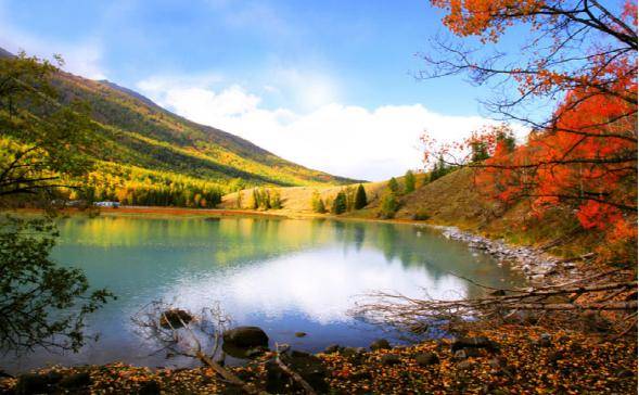 不需要知道你离世的理由，只愿你在天堂能重展笑容！