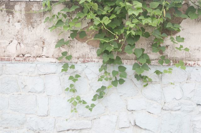 你从未到达的地方才叫远方,你未到达的地方早已车水马龙