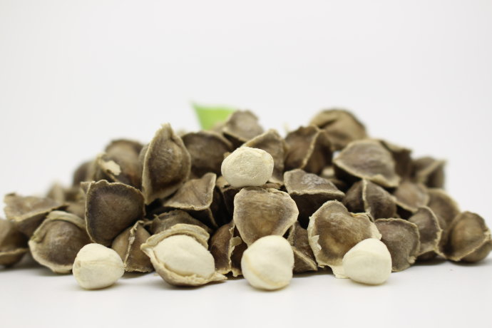 太原市民小心被忽悠！吹成高价的吃辣木籽真的能治疗和预防疾病？