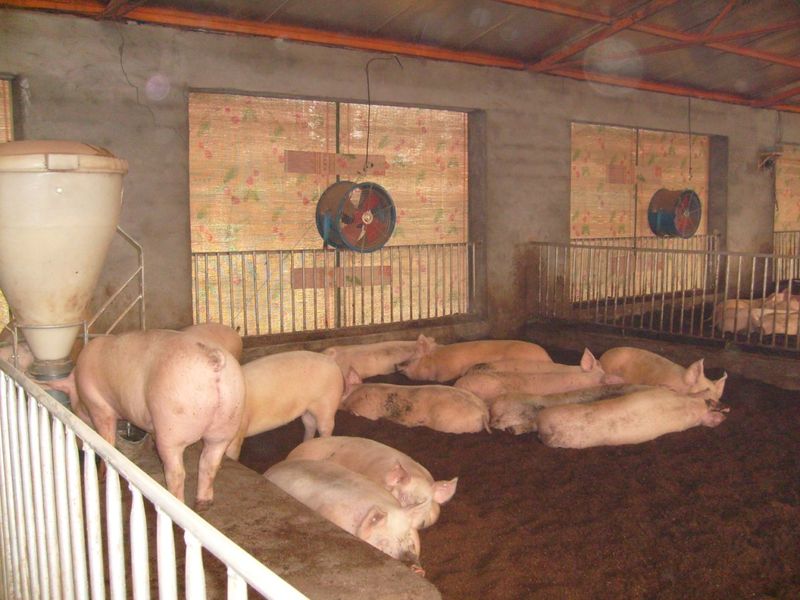 一招不慎满盘皆输,被逼当上了亿万富翁