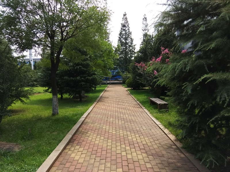 cool1手机测评,cool1dual拍照评测