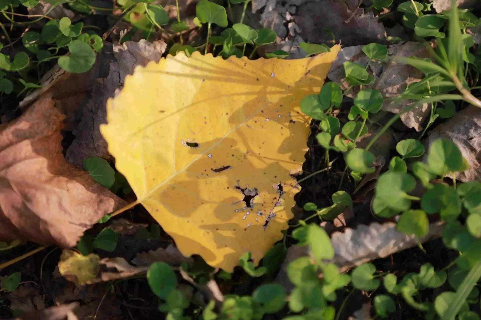 初秋武商院，真的在“给点颜色我看看!